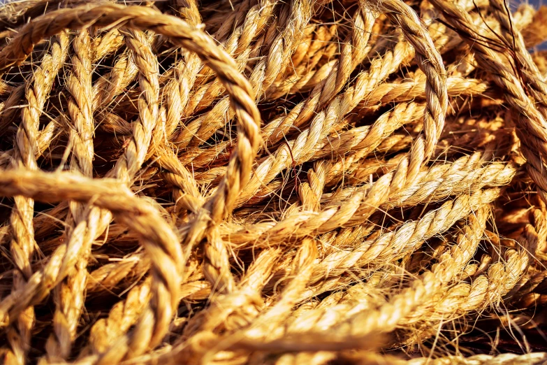 a pile of rope sitting on top of a pile of wood, pexels, renaissance, intricate golden threads, golden hour closeup photo, ilustration, macro image