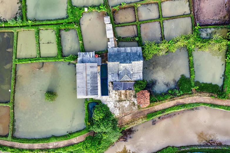 a bird's eye view of a rice field, an album cover, by Ibrahim Kodra, unsplash contest winner, renaissance, “derelict architecture buildings, ponds, zezhou chen, slide show