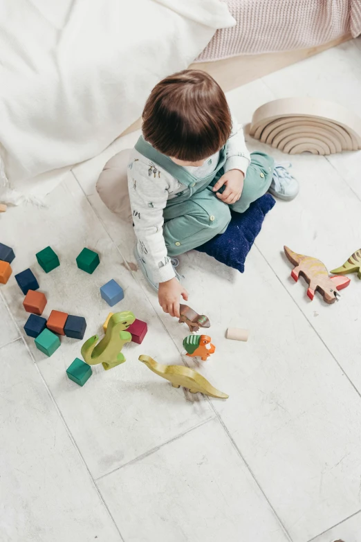 a little boy sitting on the floor playing with toys, pexels contest winner, sustainable materials, dinosaur, solid coloured shapes, white