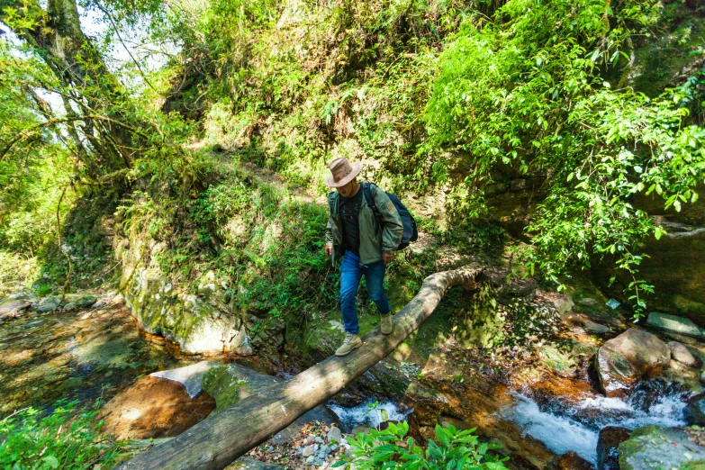 a man standing on a log over a stream, by Meredith Dillman, sumatraism, avatar image, high angle view, hiking trail, sao paulo