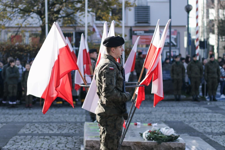 a soldier standing in front of a group of flags, poland flag, 🚿🗝📝, square, november