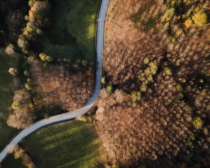 an aerial view of a winding road surrounded by trees, pexels contest winner, land art, ground angle uhd 8 k, thumbnail, cardboard, low pov