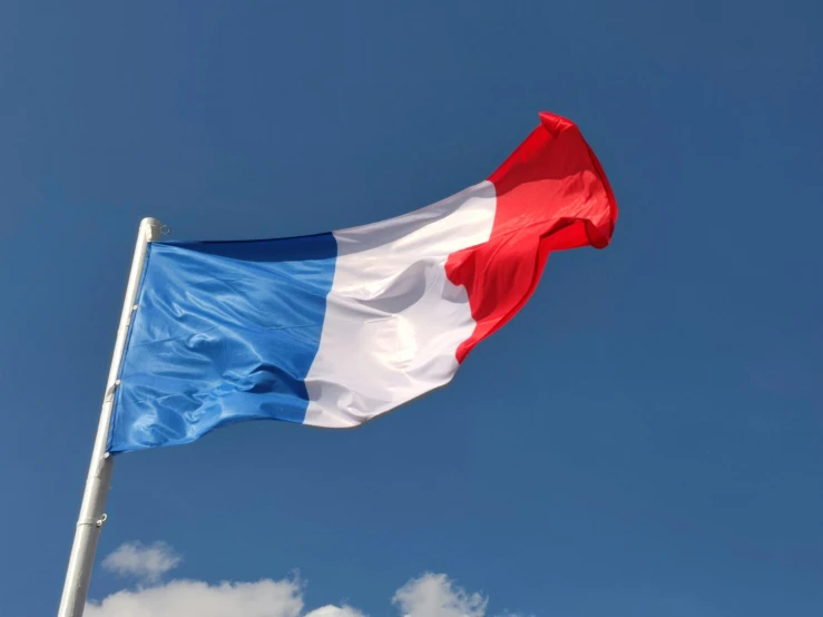 a french flag blowing in the wind against a blue sky, by Jean-Yves Couliou, pexels, 🚿🗝📝, “hyper realistic, brown, profile pic