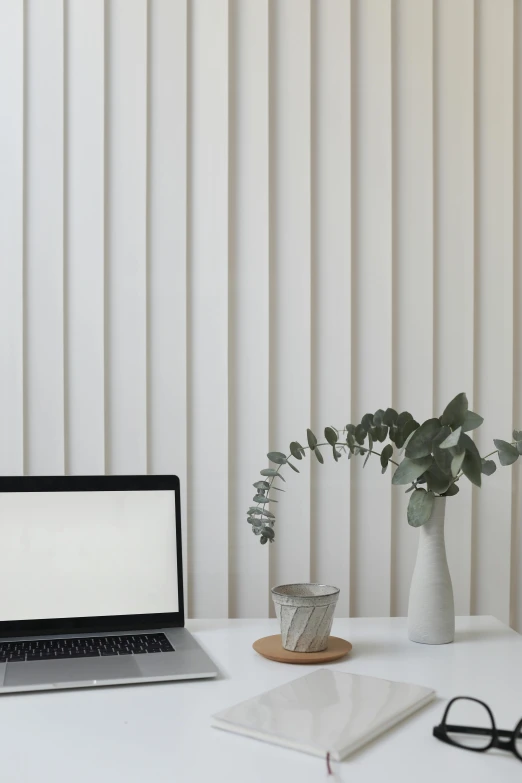 a laptop computer sitting on top of a white desk, trending on pexels, postminimalism, grey striped walls, eucalyptus, vertical lines, white vase