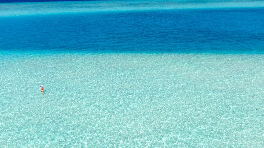 a couple of people that are in the water, unsplash, minimalism, delicate coral sea bottom, rinko kawauchi, vibrant blue, 2 colours