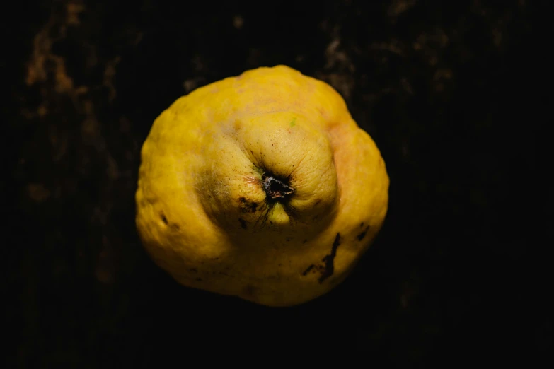 a close up of a lemon on a tree, an album cover, inspired by Elsa Bleda, unsplash, renaissance, gary oldman as a pear, ignant, worm's eye view from floor, high quality photo