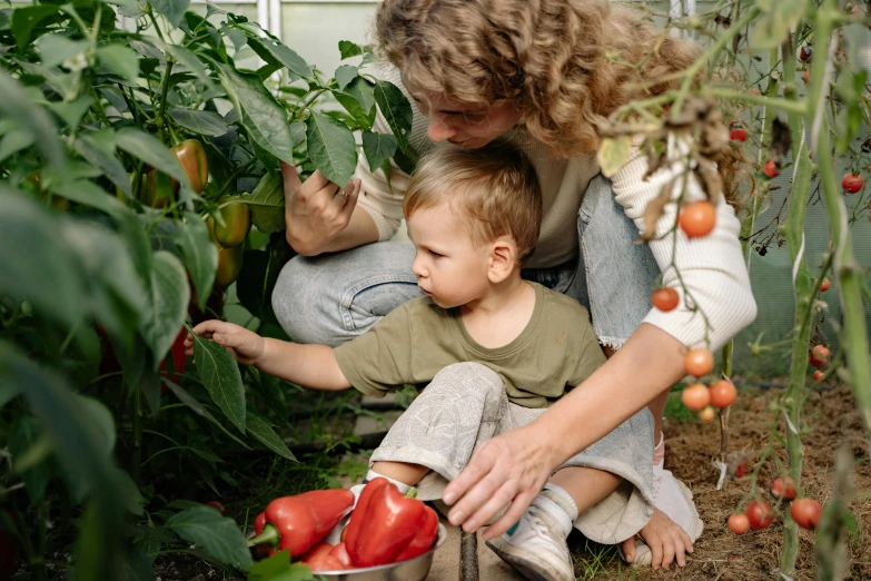 a woman and a child picking tomatoes in a garden, pexels contest winner, denim, thumbnail, digital image, ayne haag