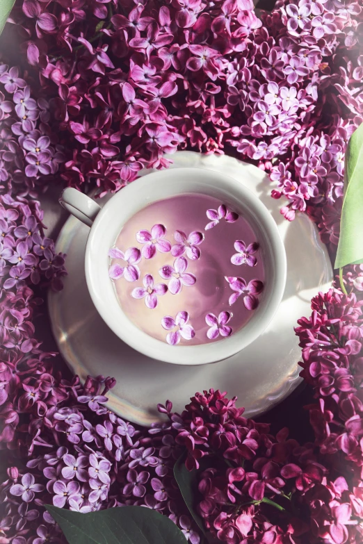 a cup of tea surrounded by purple lila flowers, a digital rendering, by Lucia Peka, trending on pexels, vanilla smoothie explosion, full frame image, made of flowers and leaves, milk bath photography