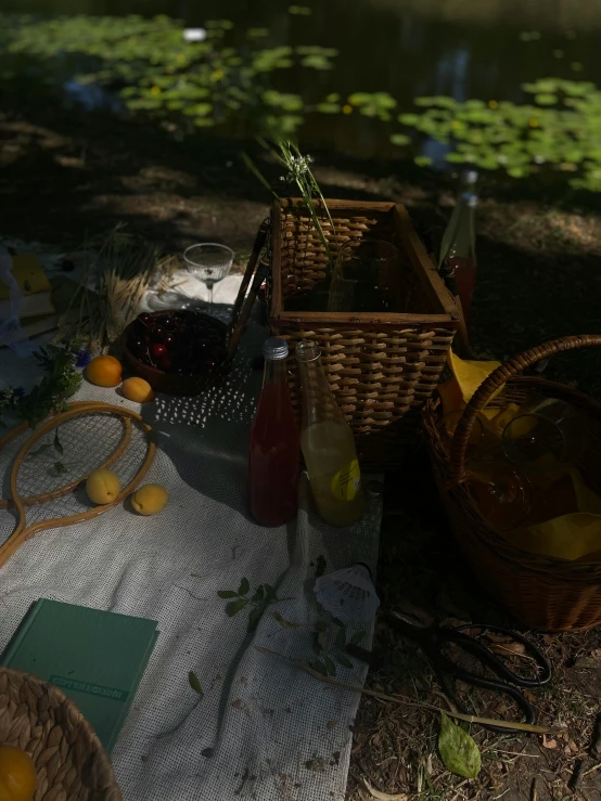 a picnic in the shade of a tree next to a body of water, a still life, inspired by Konstantin Somov, unsplash, process art, ultra realistic 8k octan photo, fruits in a basket, obscured underexposed view, shot on sony a 7
