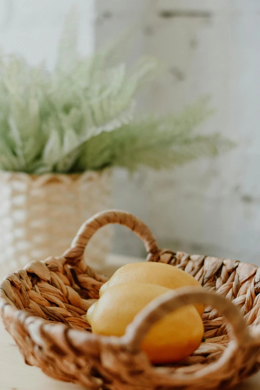 a basket filled with lemons sitting on top of a table, steamed buns, detailed product image, natural muted tones, cottagecore