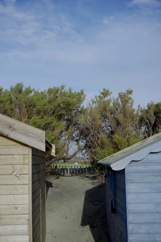 a couple of beach huts sitting next to each other, a picture, by David Simpson, renaissance, bushes, pine, over-shoulder shot, bunkers