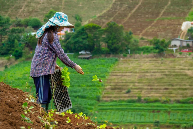 a woman that is standing in the dirt, a picture, shutterstock, figuration libre, terraced orchards and ponds, working, vine, profile image