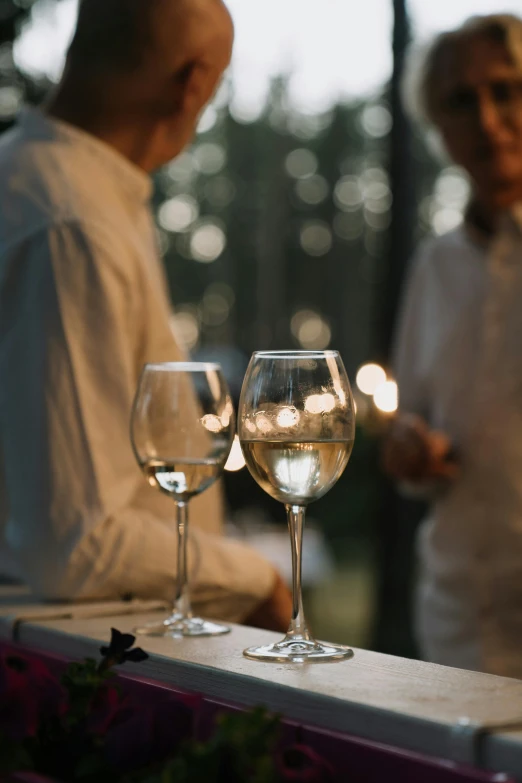 a couple of people sitting at a table with wine glasses, by Jesper Knudsen, soft outdoor light, up close, standing sideways, delicious