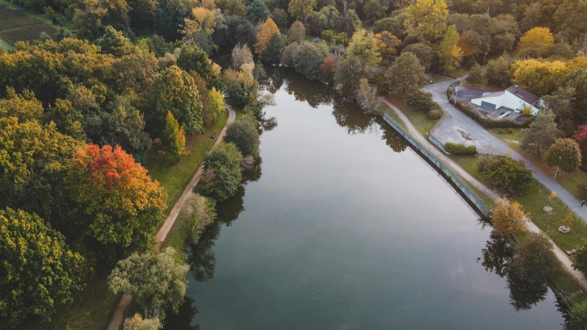 a large body of water surrounded by trees, pexels contest winner, berlin park, looking down on the camera, esher, muted colors. ue 5