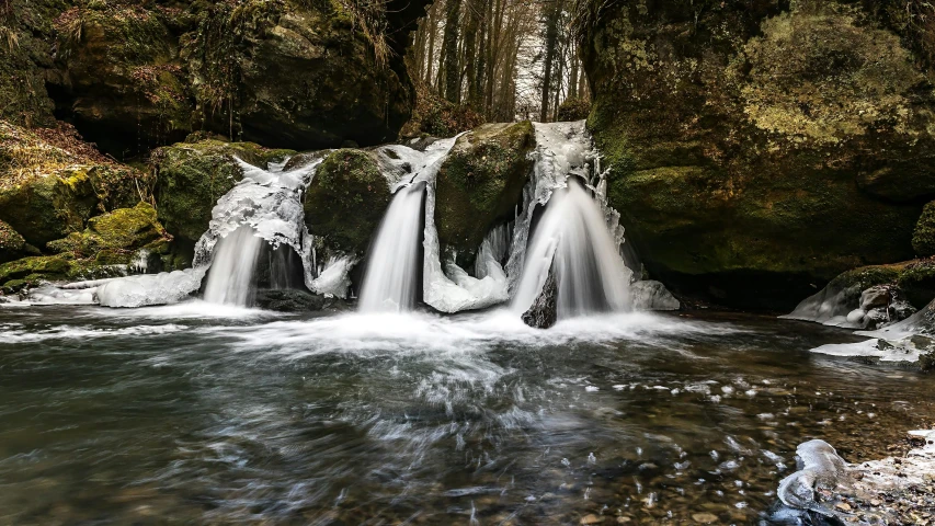 a small waterfall in the middle of a forest, by Daniel Seghers, pexels contest winner, renaissance, in an icy river, wales, long flowing fins, thumbnail