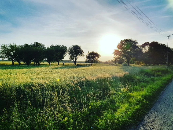 the sun is setting over a field of grass, a picture, by Anato Finnstark, unsplash, happening, next to farm fields and trees, on a road, bright sunny summer day, taken on an iphone