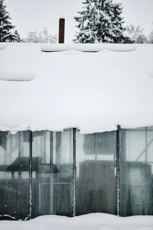 a fire hydrant covered in snow next to a building, inspired by Peter Zumthor, trending on unsplash, glass greenhouse, lapland, detail structure, inside a shed