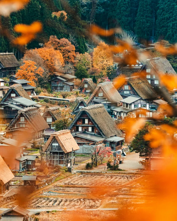 a small village in the middle of a forest, a tilt shift photo, unsplash contest winner, ukiyo-e, orange and brown leaves for hair, thatched roofs, thumbnail, slide show