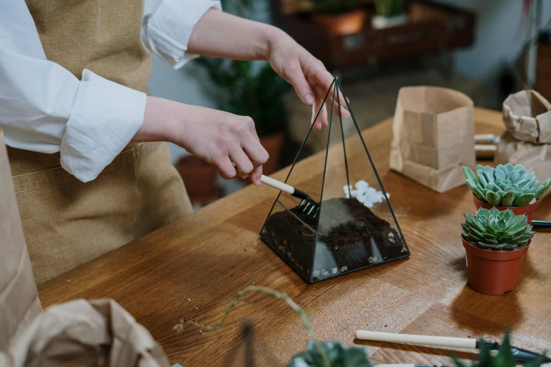 a person that is working on some kind of plant, by Julia Pishtar, pexels contest winner, kinetic art, the handbag is over a wood table, pyramid, glass cover, for displaying recipes