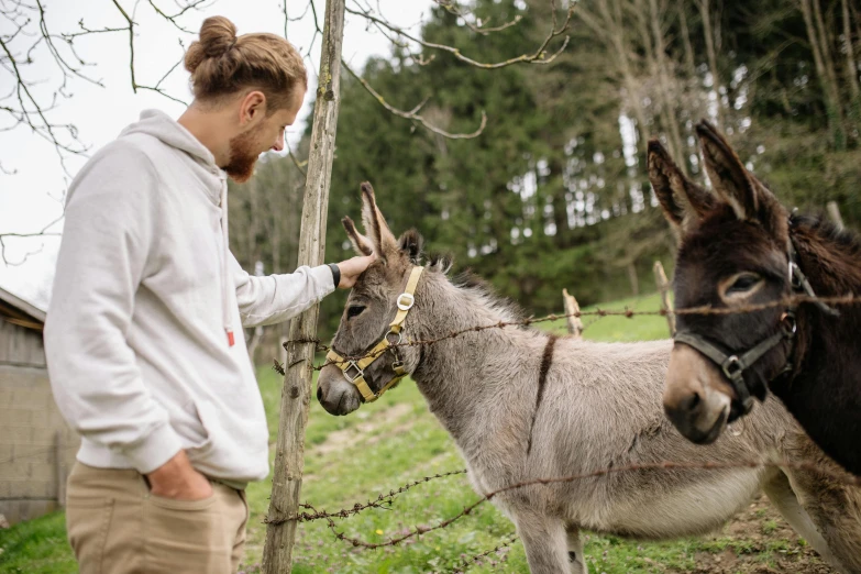 a man petting a donkey behind a barbed wire fence, pexels contest winner, arbeitsrat für kunst, cottage hippie naturalist, gray, having a snack, 2 animals