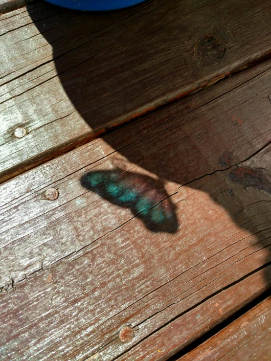 a butterfly sitting on top of a wooden deck, by Linda Sutton, caustic shadows lighting, low quality photo, high angle, raziel irl