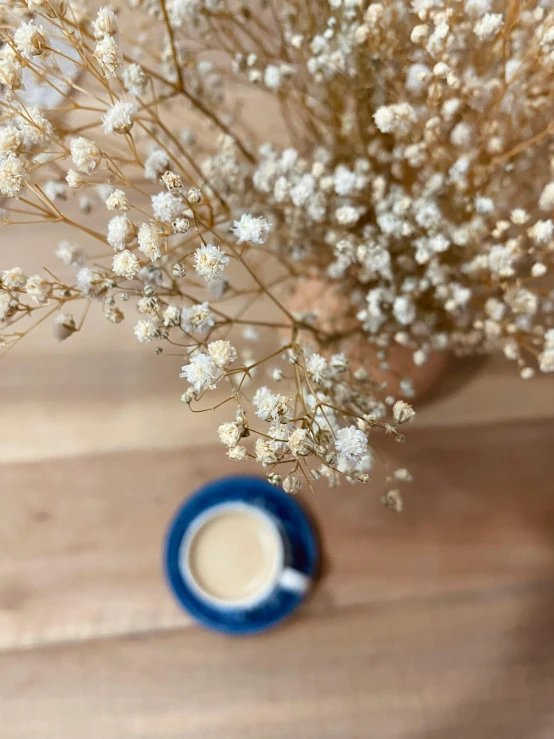 a cup of coffee sitting on top of a wooden table, blue flowers bloomed all over, profile image, ocher details, gypsophila