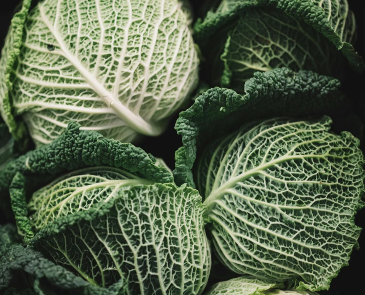 a close up of a bunch of cabbage, by Carey Morris, pexels, 🦩🪐🐞👩🏻🦳, fine foliage lace, a pair of ribbed, retro stylised