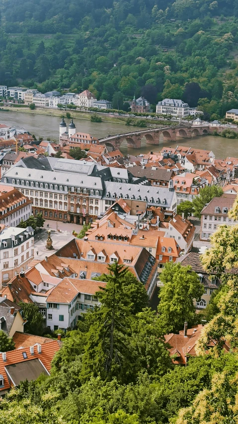 a view of a town from the top of a hill, pexels, heidelberg school, taken with kodak portra, square, building along a river, a quaint