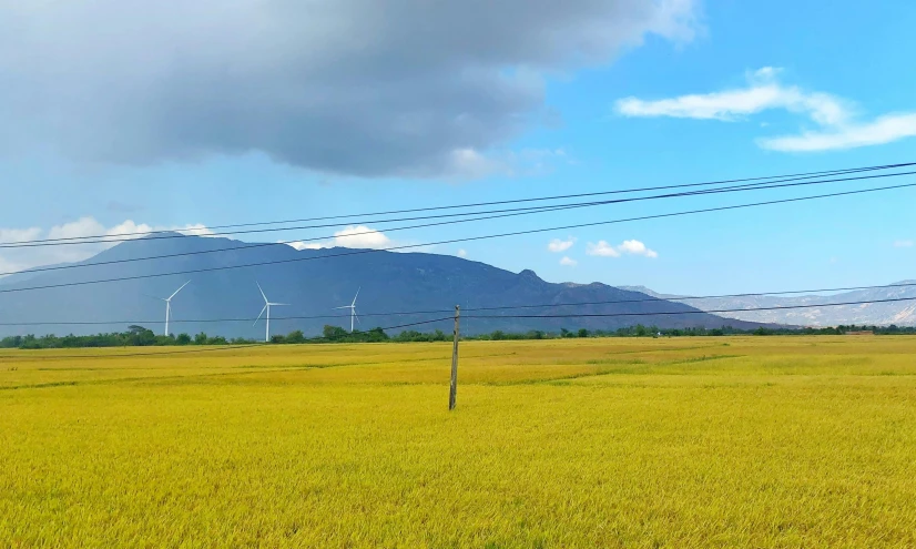a field of green grass with a mountain in the background, pexels contest winner, sōsaku hanga, power lines, in style of lam manh, windmills, taken in the late 2010s