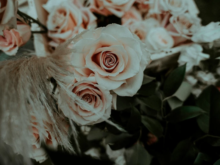 a bunch of flowers that are in a vase, inspired by Elsa Bleda, pexels contest winner, romanticism, rose gold, zoomed in shots, intricate textures, laying on roses