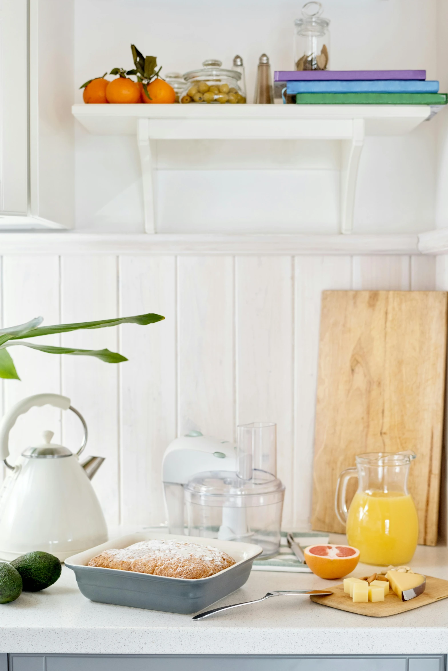 a potted plant sitting on top of a kitchen counter, featured on pinterest, private press, hearty breakfast, white plank siding, promo image, spilling juice