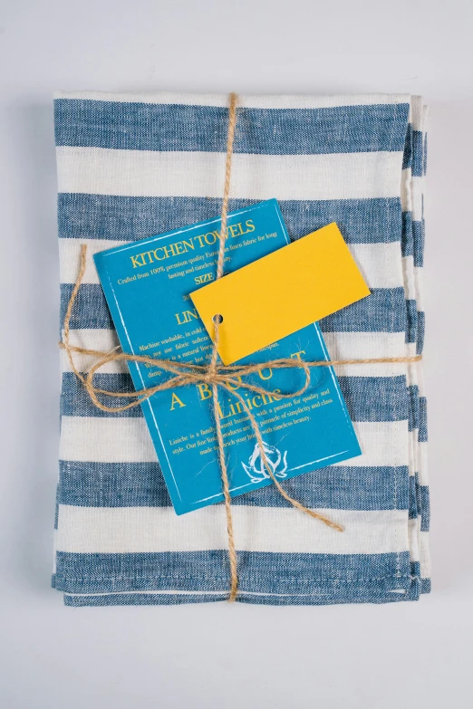 a blue and white striped napkin with a yellow tag, by Alice Mason, private press, dvd package, for displaying recipes, denim, apron