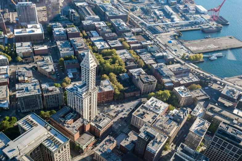 an aerial view of a city with lots of tall buildings, by Jason Felix, pexels contest winner, photorealism, cascadia, perfect crisp sunlight, full body close-up shot, taken in the early 2020s