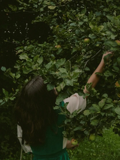 a woman in a green dress picking apples from a tree, inspired by Elsa Bleda, unsplash contest winner, naturalism, 😭 🤮 💕 🎀, overgrown with lush plants, tumblr aesthetic, profile picture