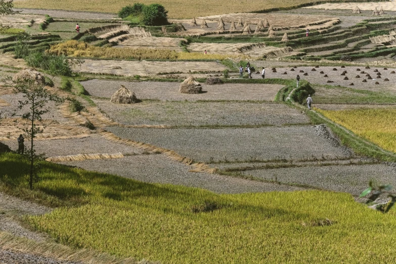 a group of people walking across a lush green field, by Yasushi Sugiyama, unsplash, land art, nepal, staggered terraces, brown, grey