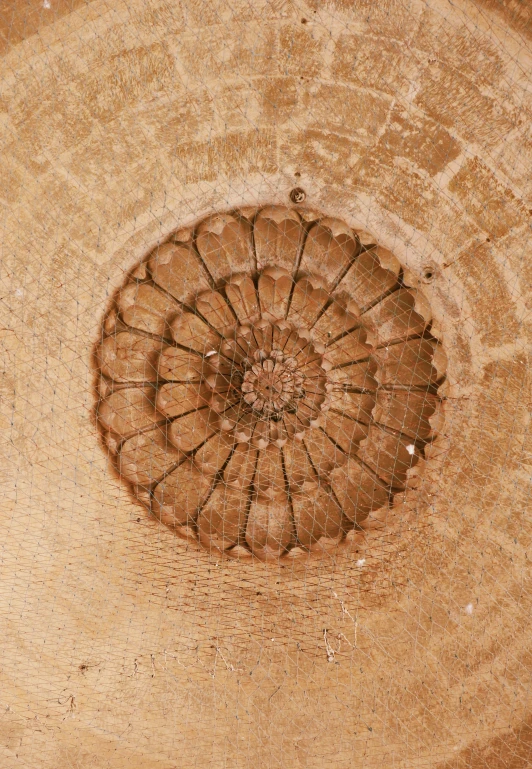 a close up of a ceiling in a building, brownish fossil, circle design, large flower head, wooden bowl