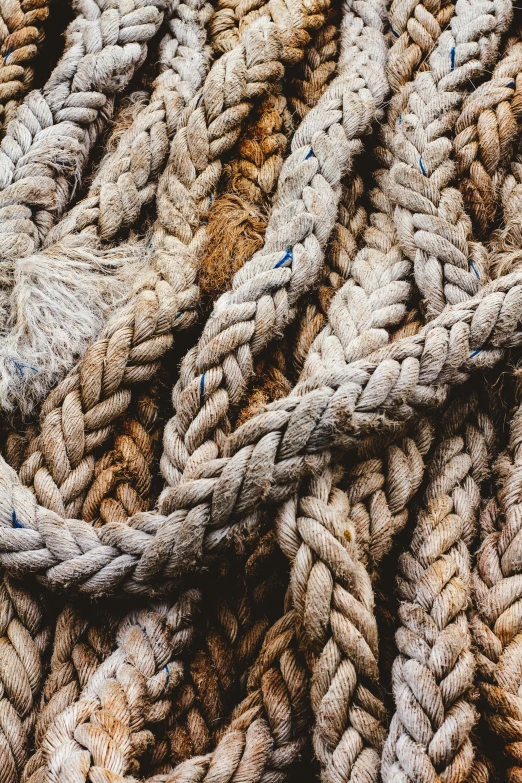 a pile of rope sitting on top of a wooden floor, by Jessie Algie, trending on pexels, dynamic closeup, scientific photo, sea, multiple stories