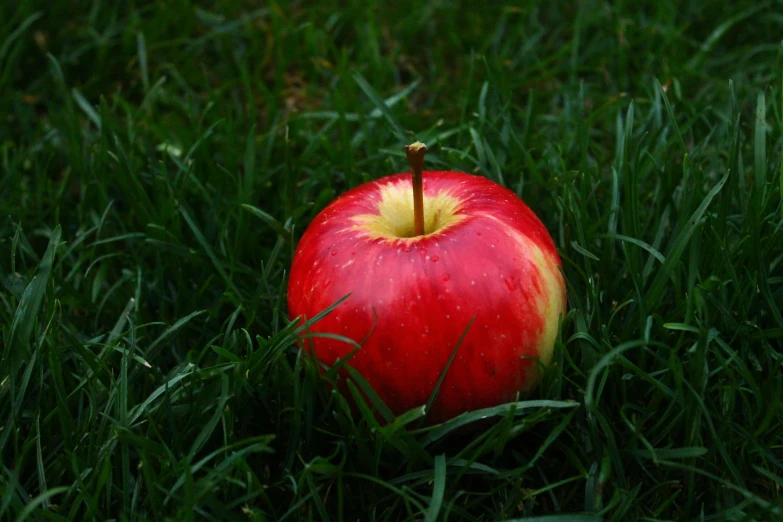 a red apple sitting on top of a lush green field, in the grass