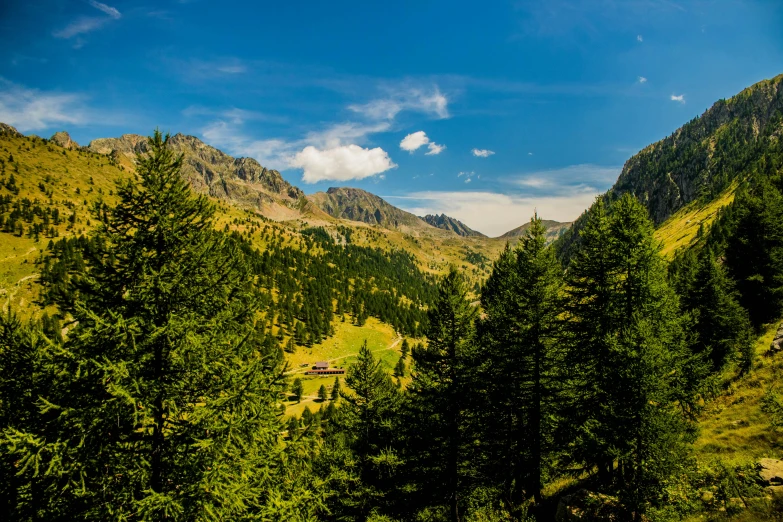 a forest filled with lots of green trees, by Werner Andermatt, pexels contest winner, les nabis, valley in the distance, alp, festivals, youtube thumbnail