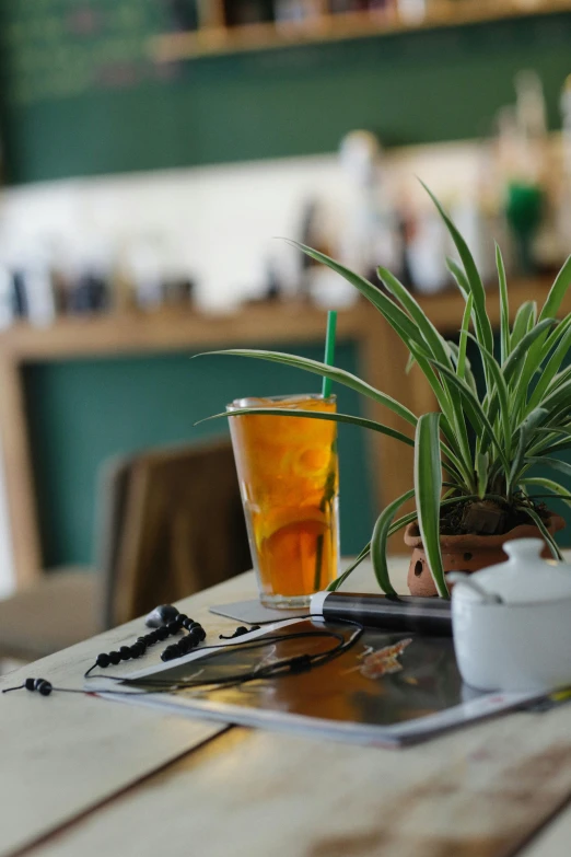 a potted plant sitting on top of a wooden table, iced tea glass, at the counter, sun coast, ice coffee