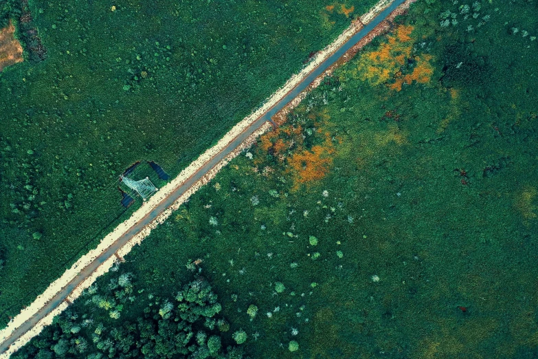 an aerial view of a road in the middle of a field, an album cover, by Elsa Bleda, unsplash contest winner, overgrown greenery, quixel megascans, ai biodiversity, detailed color scan”