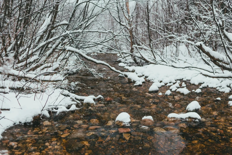 a stream running through a snow covered forest, inspired by Edward Willis Redfield, unsplash contest winner, renaissance, 2 5 6 x 2 5 6 pixels, nostalgic and melancholic 4 k, konica minolta, brown