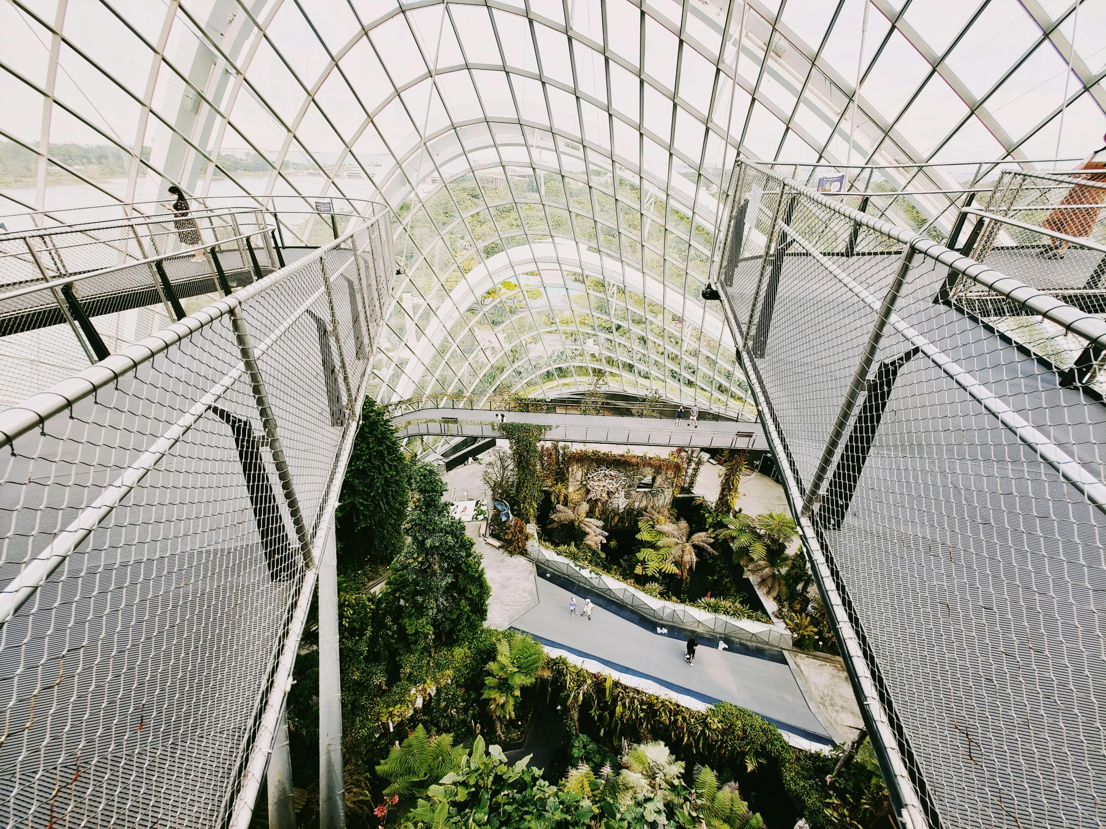 a view of a walkway inside of a building, inspired by Thomas Struth, unsplash contest winner, environmental art, cloud forest, flat lay, lulu chen, desert white greenhouse