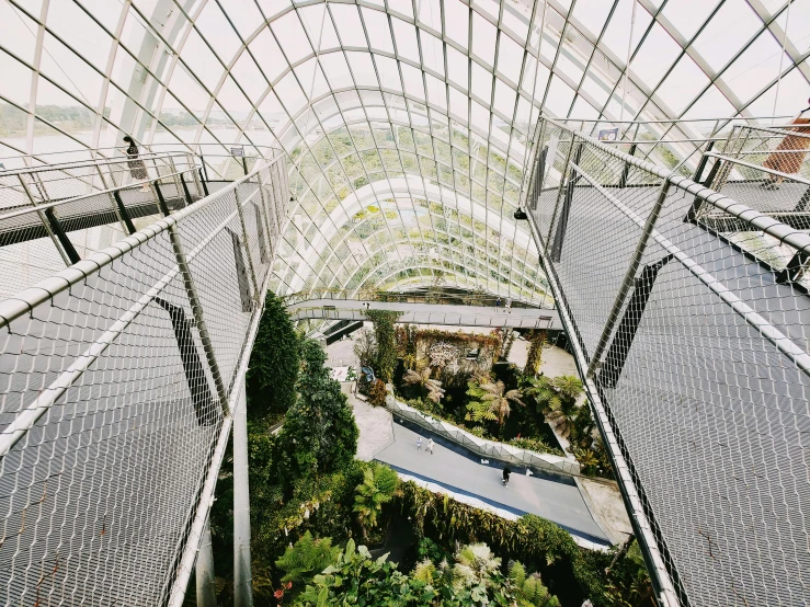 a view of a walkway inside of a building, inspired by Thomas Struth, unsplash contest winner, environmental art, cloud forest, flat lay, lulu chen, desert white greenhouse