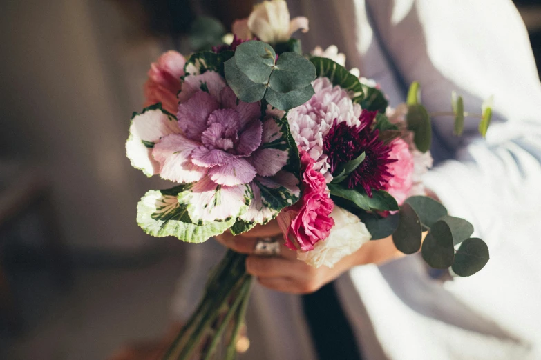 a close up of a person holding a bunch of flowers, pinks, rich colours, petite, bouquet
