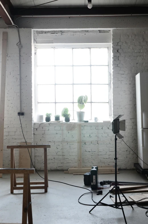 a room filled with furniture and a window, a picture, unsplash, light and space, behind the scenes photo, studio shoot, next to a plant, studio shaft