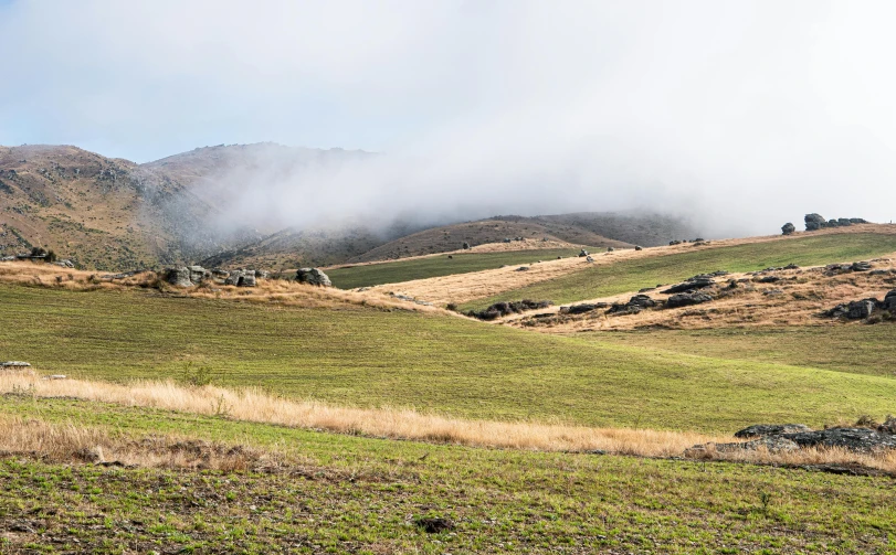 a herd of sheep standing on top of a lush green hillside, by Peter Churcher, figuration libre, winter mist around her, arrendajo in avila pinewood, slide show, wide view of a farm