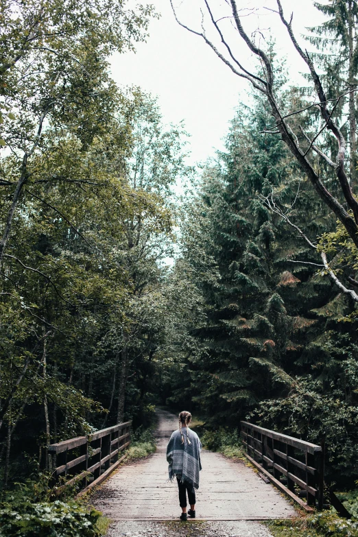 a person walking across a wooden bridge in the woods, by Sebastian Vrancx, 2 5 6 x 2 5 6 pixels, road trip, spruce trees, facing away