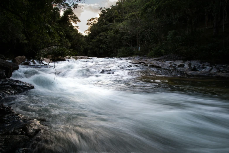 a river running through a lush green forest, an album cover, by Peter Churcher, unsplash contest winner, hurufiyya, evening at dusk, tamborine, white water rapids, fishing