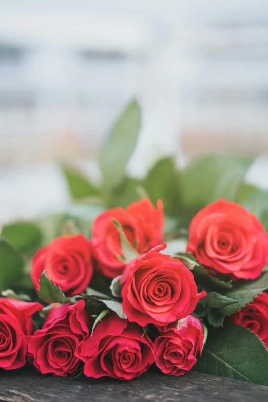 a bunch of red roses sitting on top of a wooden table, by Robbie Trevino, trending on unsplash, romanticism, low detail, romantic greenery, dreamy soft, long